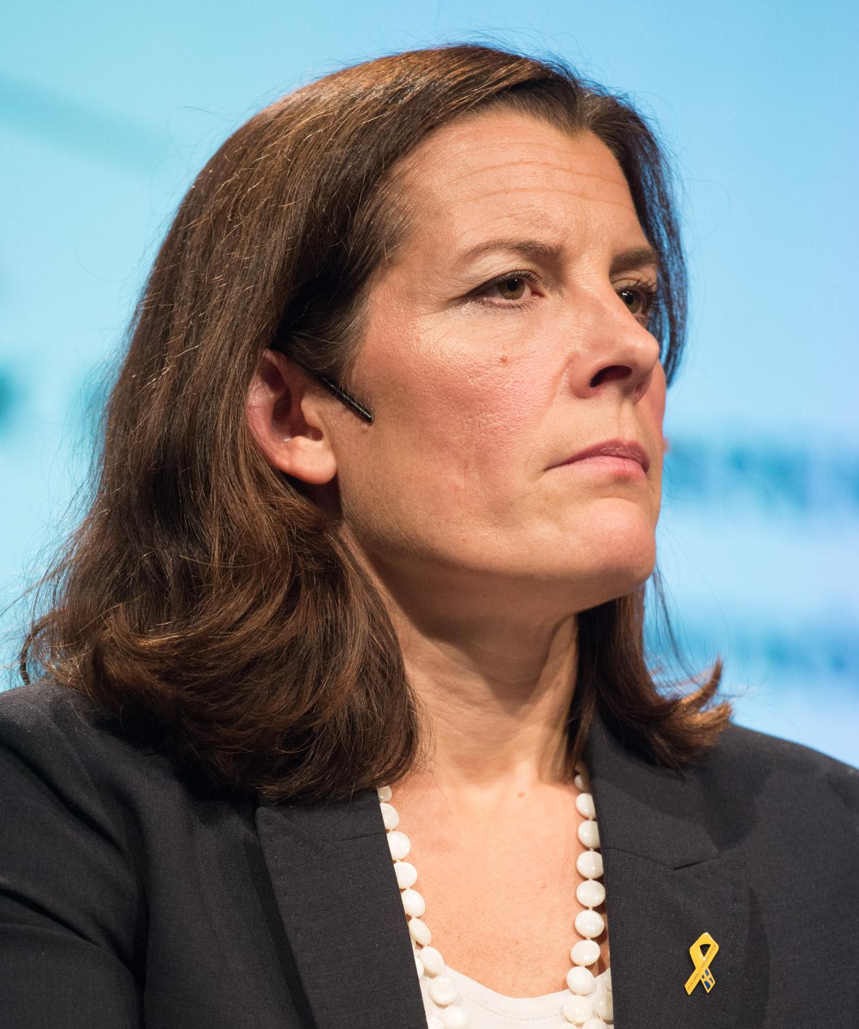 Karin Enström's image